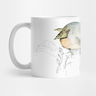 waxeye - Sylvereye bird Mug